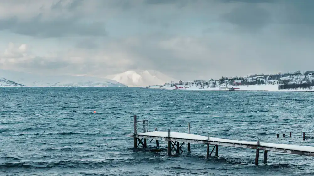 A swimmer emerging from an icy lake into the crisp air