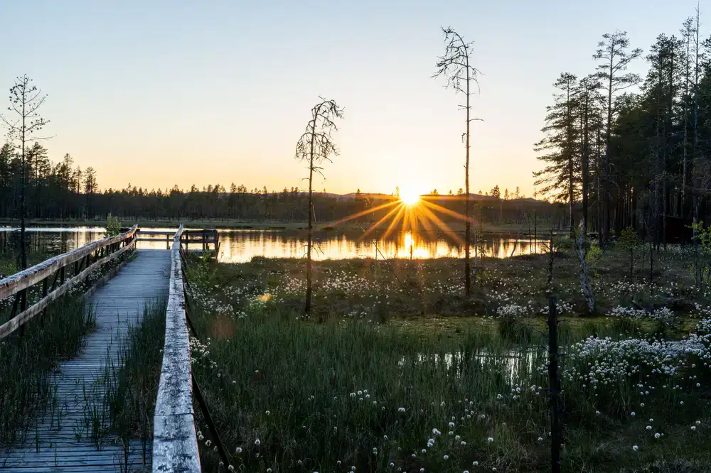 Wooden path leading to the serene lake water